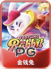 电子试玩